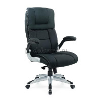 DSC_4137_1000 рис1