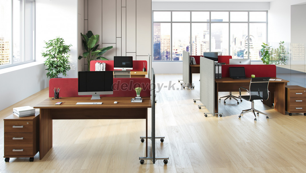 SOFToffice фото 2