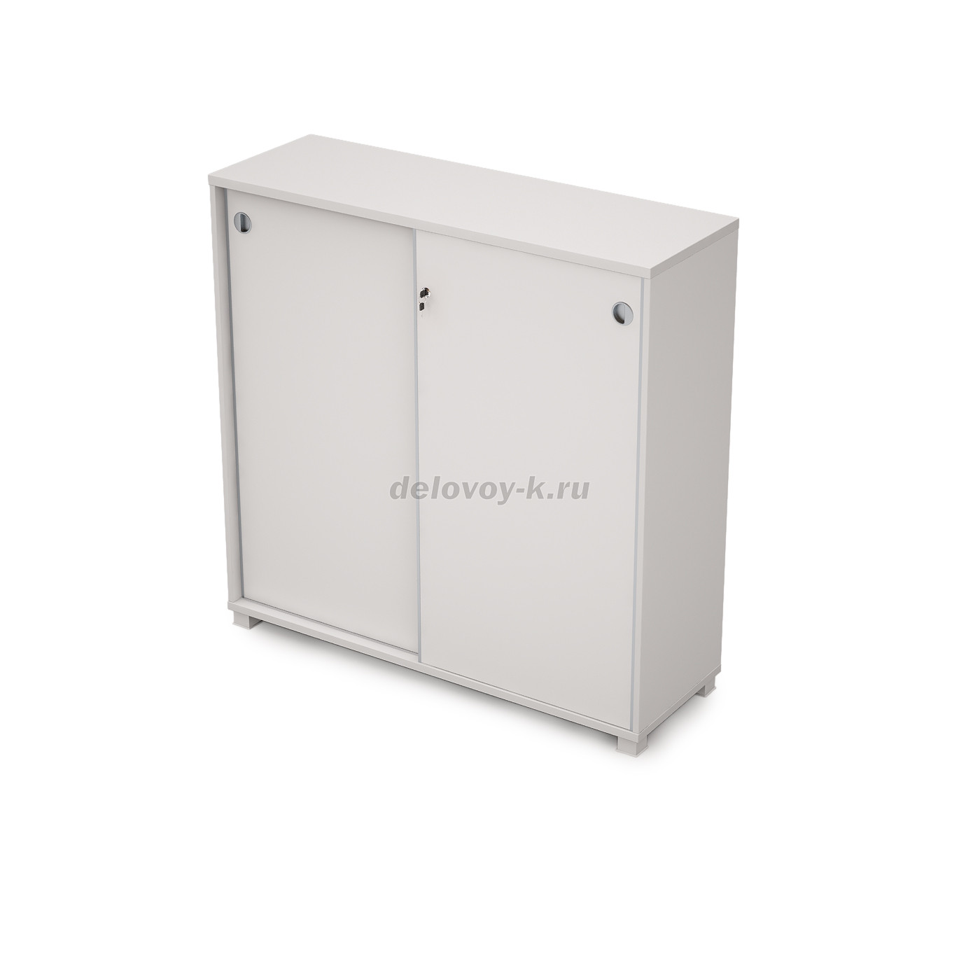 6ШКЗ.013 Шкаф-купе с замком (1237*400*1205) фото