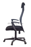 010_1000.jpg рис3