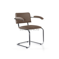 сильвия z10 2 рис1