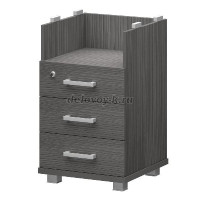 00000020009_1000 рис1