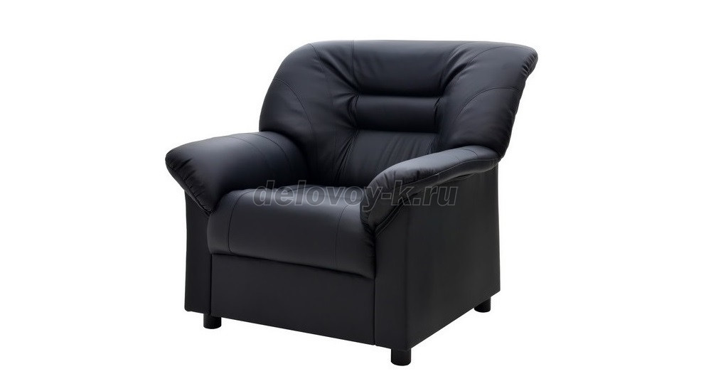 Кресло-кровать с подлокотниками Премьер V-100/5 фото