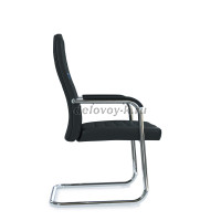 AL751V_003_1000.jpg рис3