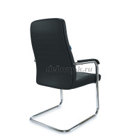 AL751V_004_1000.jpg рис4