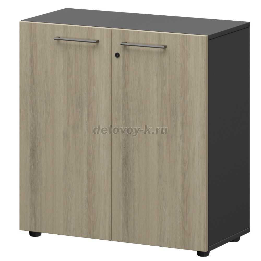 СМШ-28+KZF-28 Шкаф низкий закрытый 792х380х811 фото