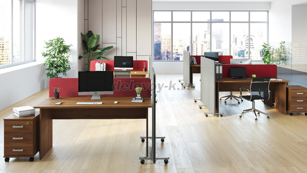 SOFToffice фото 9